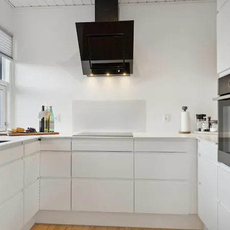Amazing In With Kitchen 펜션 스카겐